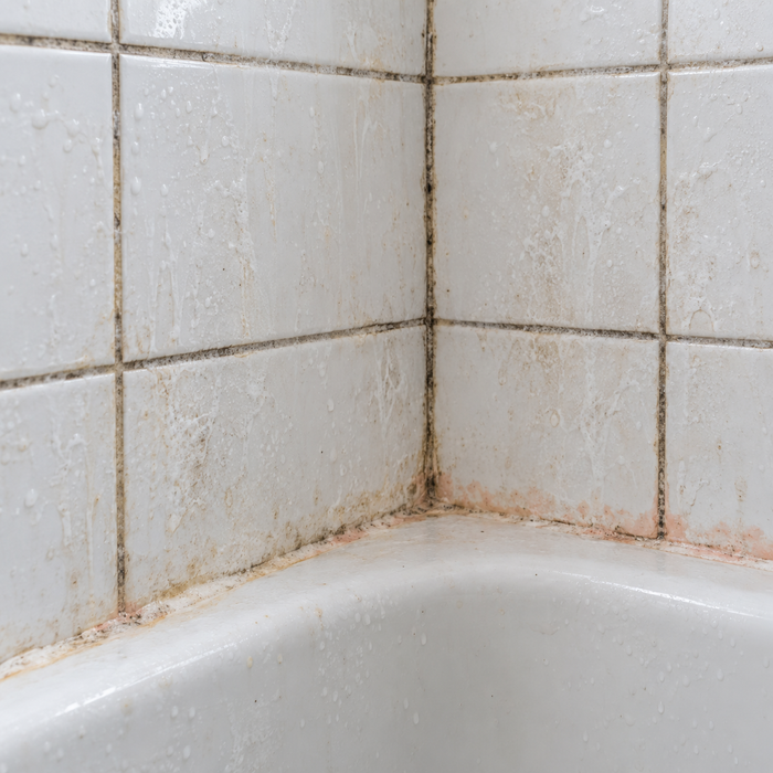 Shower & grout